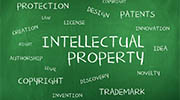 South Korea intellectual property rights investigator